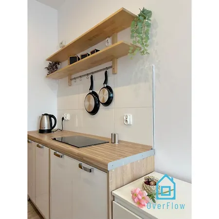 Birch Studio- Peaceful Retreat, 10 Minutes To Old Town & Seaside Apartment Gdansk